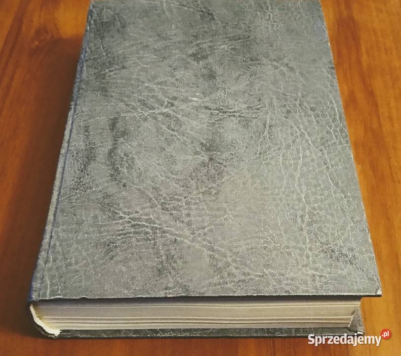 O poezji doskonałej czyli Wergiliusz i Homer Gdańsk