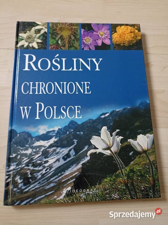 Agnieszka i Włodek Bilińscy Rośliny chronione w