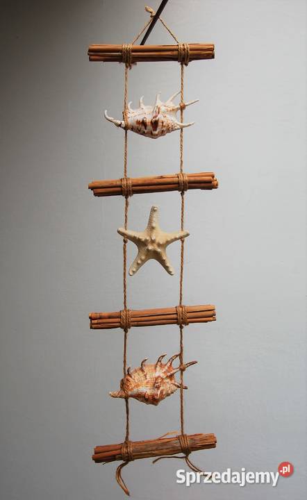 Muszle rozgwiazda na sznurku ozdoba Dekoracje i ozdoby lubelskie Lublin