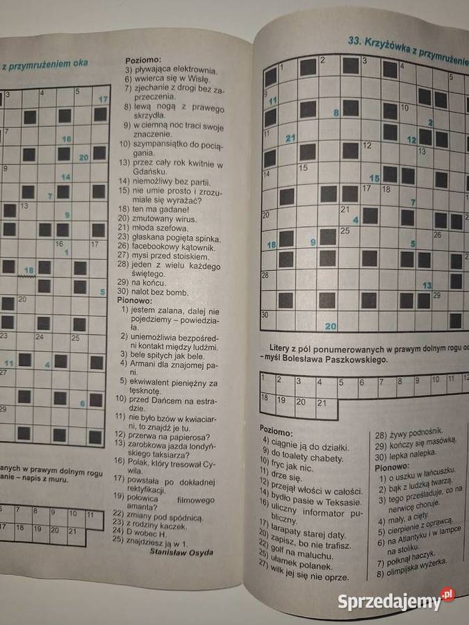 KRZYŻÓWKI Z PRZYMRUŻENIEM OKA TECHNOPOL sprzedam