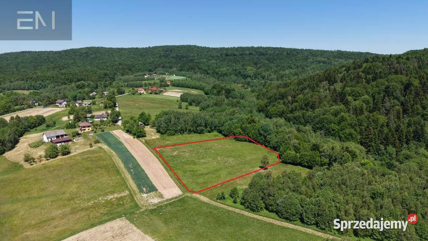 Działka 8800m2 Huta Gogołowska 9zł/m2