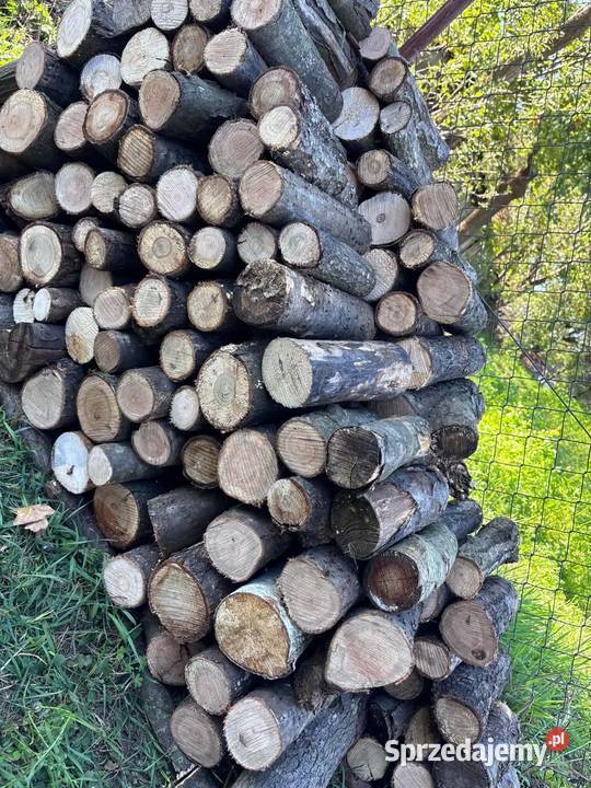 Drewno na opał Opał Surmaczówka sprzedam