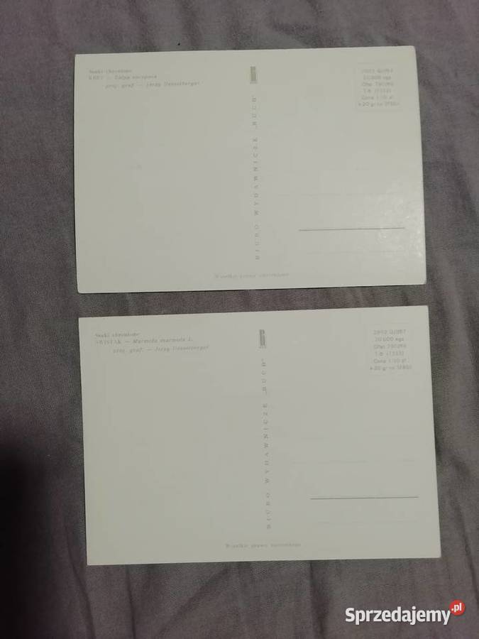 Ssaki chronione Desselberger Kraków