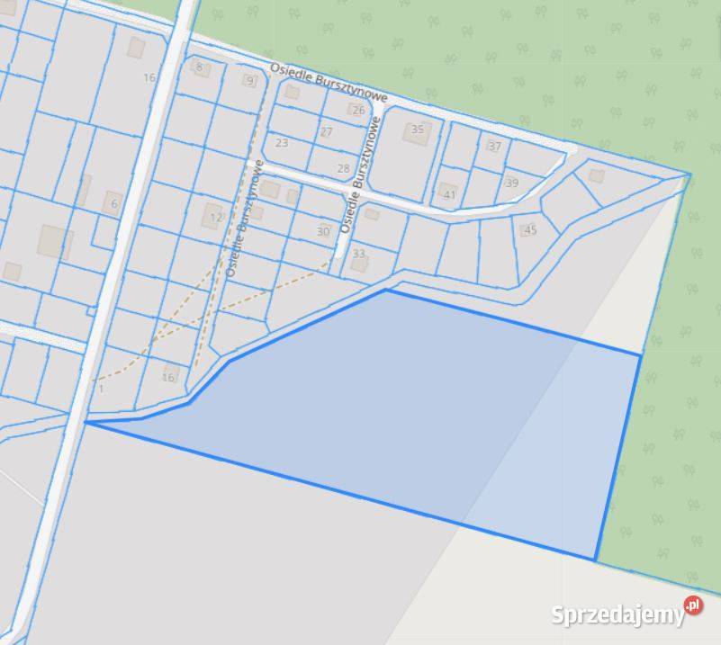 Syndyk sprzeda działkę 29 Bukowiec