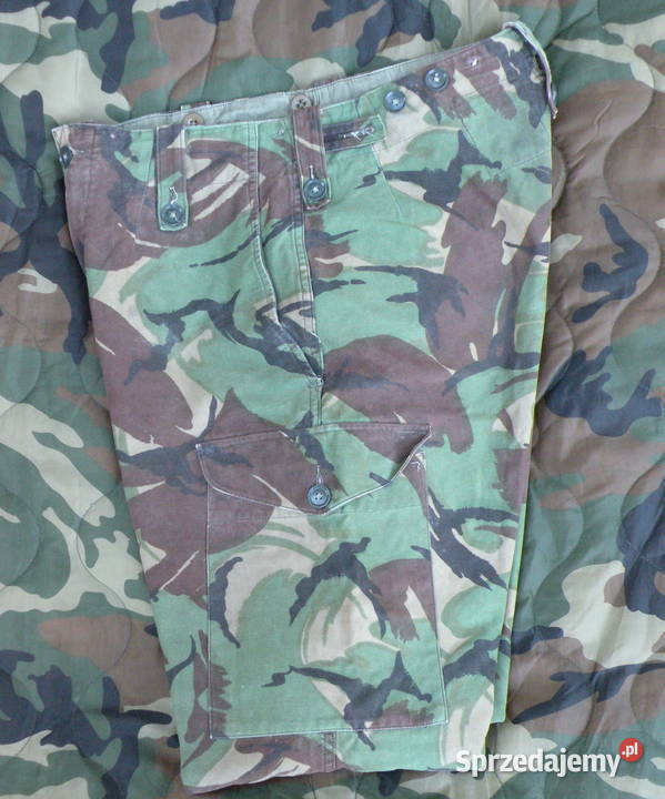Spodnie DPM temperate 8284106 dolnośląskie Wrocław