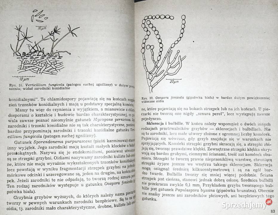 Nowoczesna uprawa pieczarki PJC Vedder