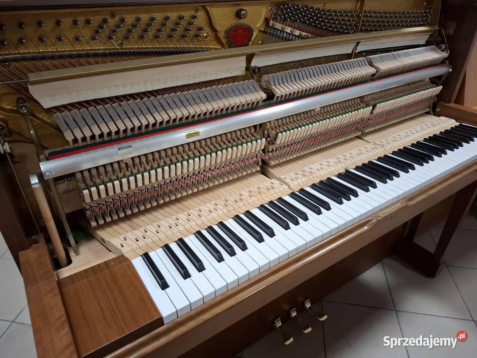 Pianino Schimmel oryginał duo system stan Brzesko sprzedam