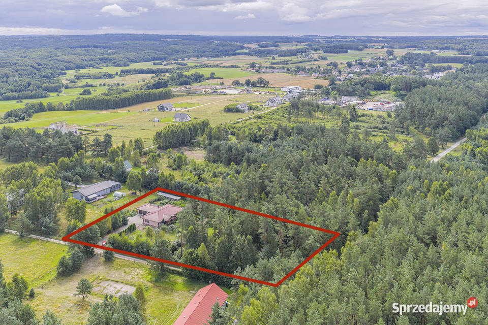 Dom na działce 7500m2 w Dąbrówce k Wejherowa Dąbrówka