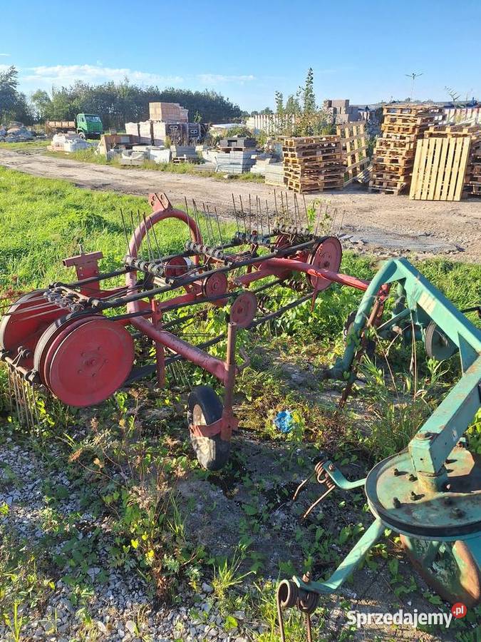 Likwidacja Do hodowli zwierząt Przebendów