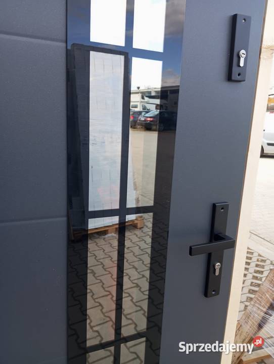 Drzwi THERMO TEMPER GLASS 4 Nowe Częstochowa