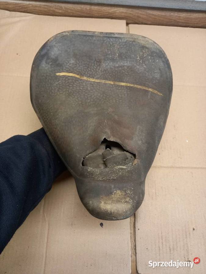 Siedzenie komar sztywniak Sokołów Podlaski