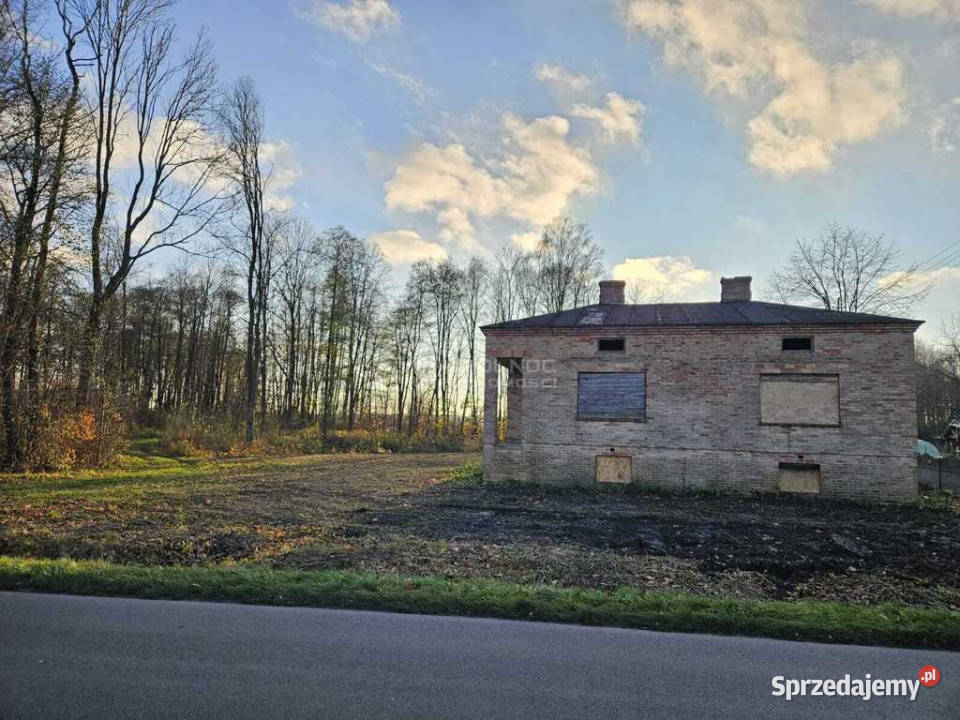Działka rolnobudowlana z potencjałem w Chotyłów
