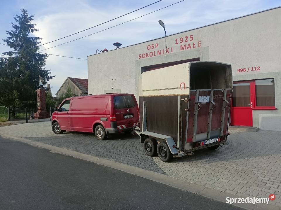 Transport koni Wynajem pojazdów Wynajem pojazdów Szamotuły