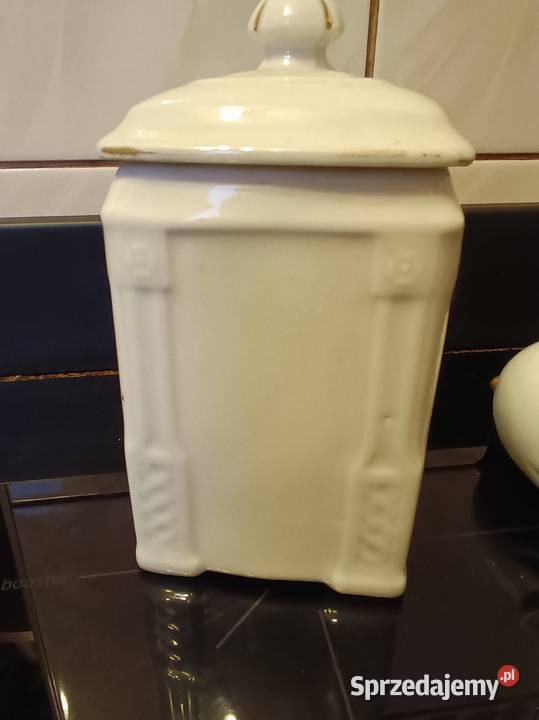 Hollohaza kaczuszka śląskie Świętochłowice