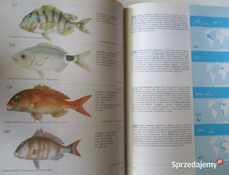 przyroda fauna flora rasy biologia Puchalski Łódź