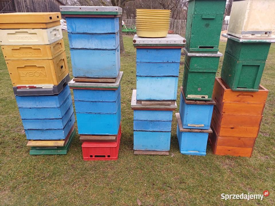 Ule wielkopolskie 10 ramkowe Sienno sprzedam