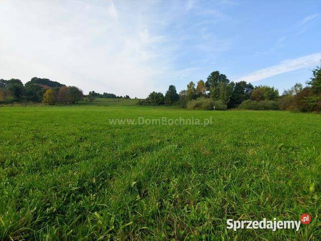 Działkę sprzedam Łąkta Górna 9000m2 9000m2 sprzedam