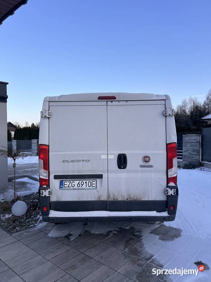 Fiat Ducato nieuszkodzony Stare Skoszewy