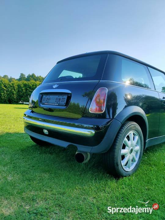 Mini Konin wlkp Mini wielkopolskie