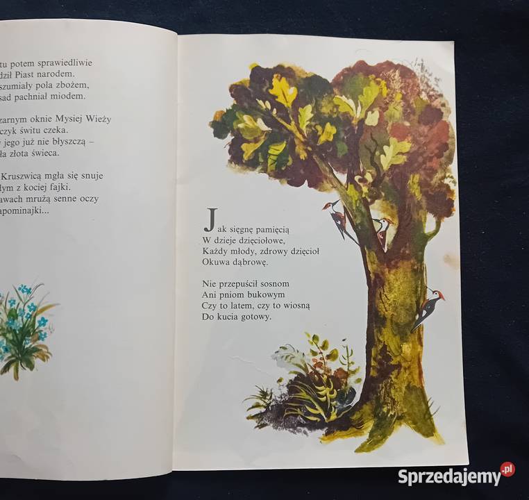 Cz Janczarski T Kubiak Ptaki mówią polsku sprzedam