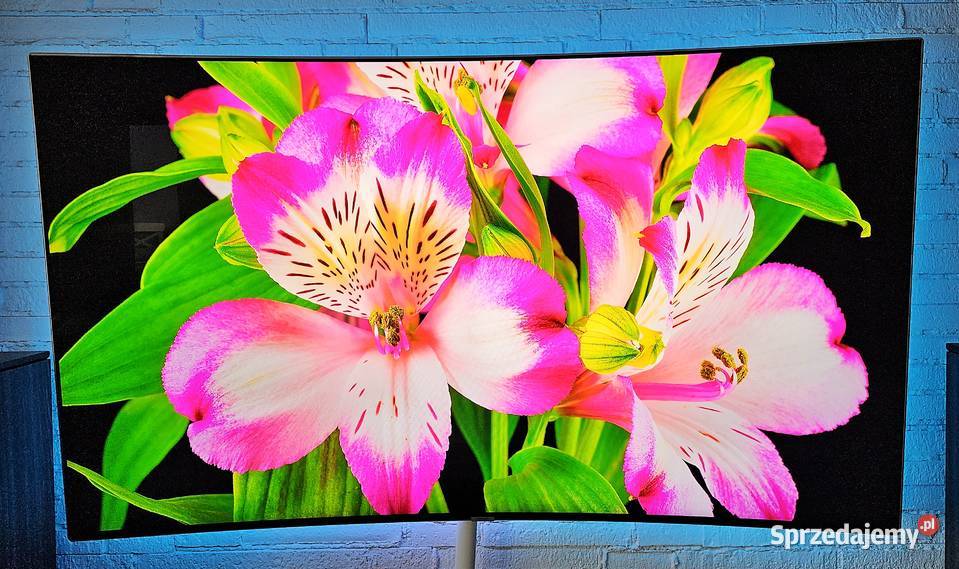 Telewizor Samsung 65 Premium UHD 4K Smart TV HDMI Barlinek