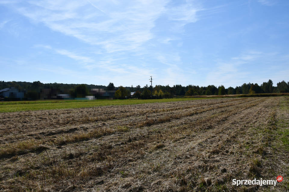 Działka rolna 43a Strażów 43m2