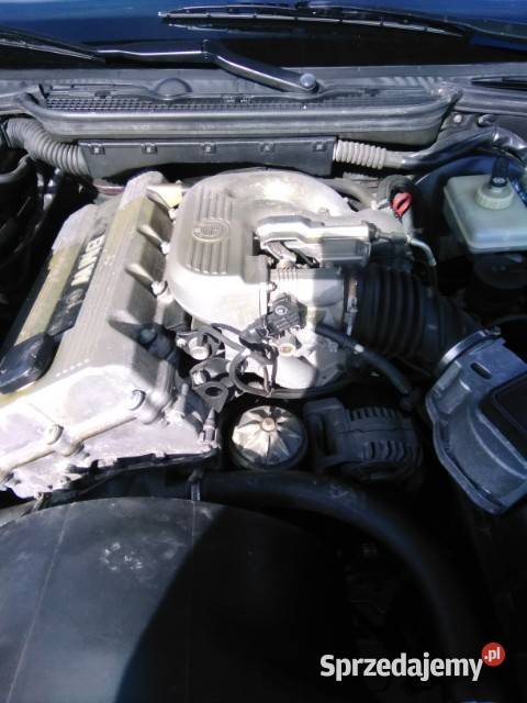 Bmw E36 igła lubelskie
