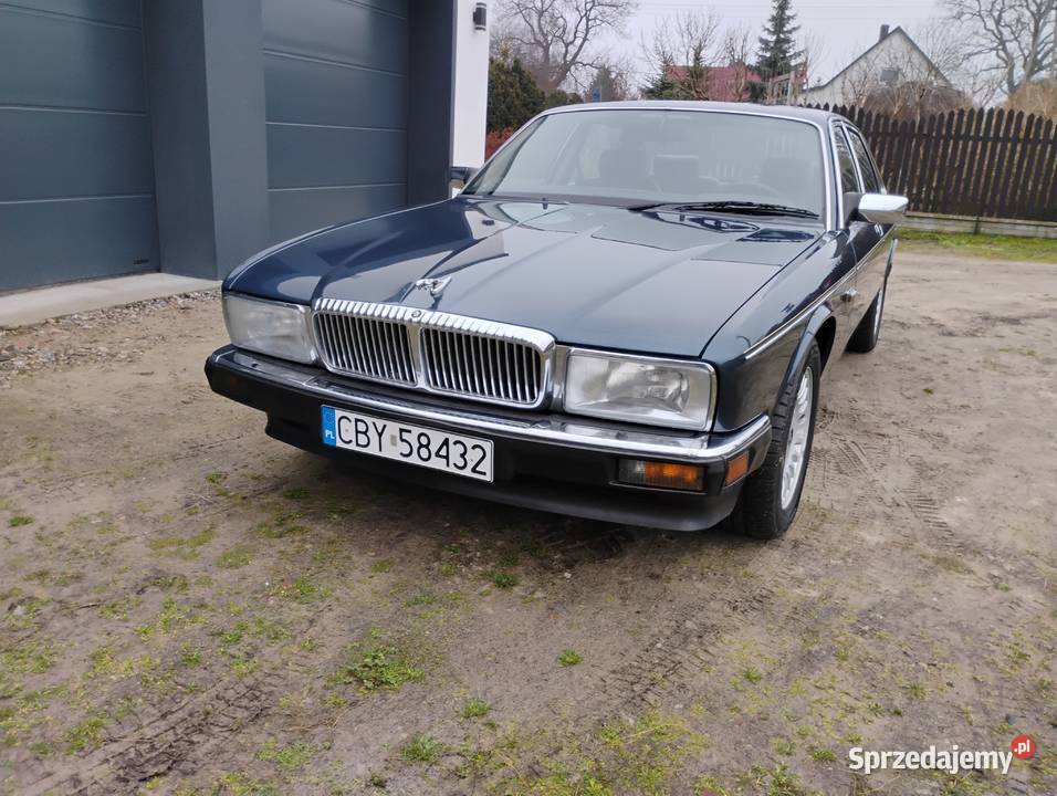 Jaguar xj40 Daimler 36 203KM