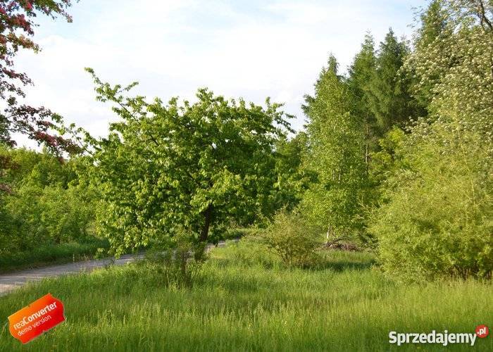 66 m2 na własność w Regnach 25 Łodzi Liczba pokoi 2 łódzkie Regny