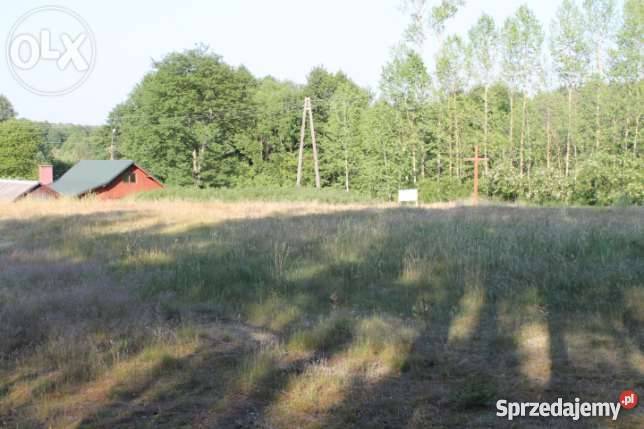działka budowlana kasparus budowlana sprzedam