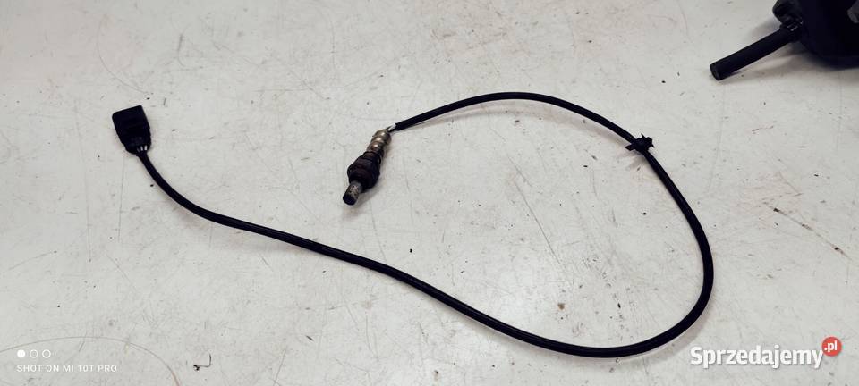 CZUJNIK TEMPERATURY SPALIN SONDA 06E906265E Przystajń sprzedam