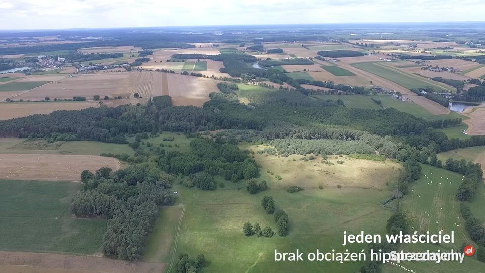 Ziemia agroturystyka stawy rezydencja działki Sieraków