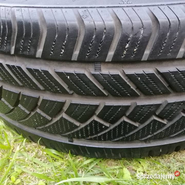 Opona Całoroczna Acoblue Superia 4S 2054516 Kielce