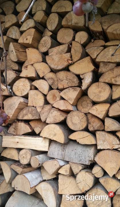 Drewno kominkowe opałowe buk pocięte i porąbane Kielce
