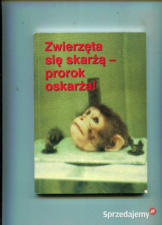 Zwierzęta się skarżąprorok oskarża Szczecin