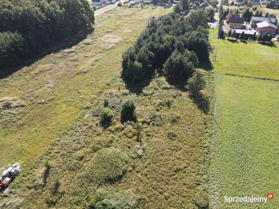 Sprzedaż działka budowlana w Łubnianach 104 ar Łubniany