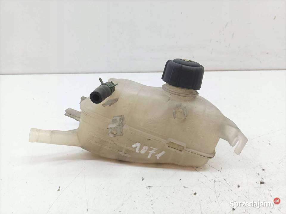 ZBIORNICZEK WYRÓWNAWCZY 217100005R Renault sprzedam