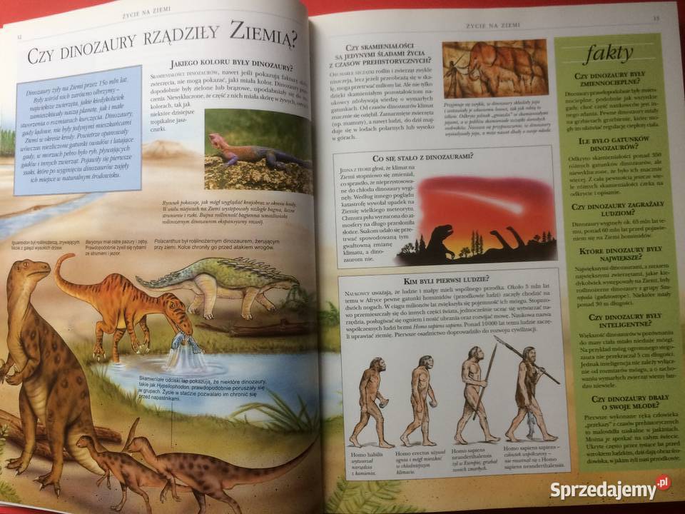 3126 Encyklopedia Szkolna Antykwariat Szczecin