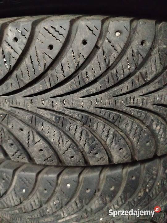 Całoroczne R15 podkarpackie Tajęcina