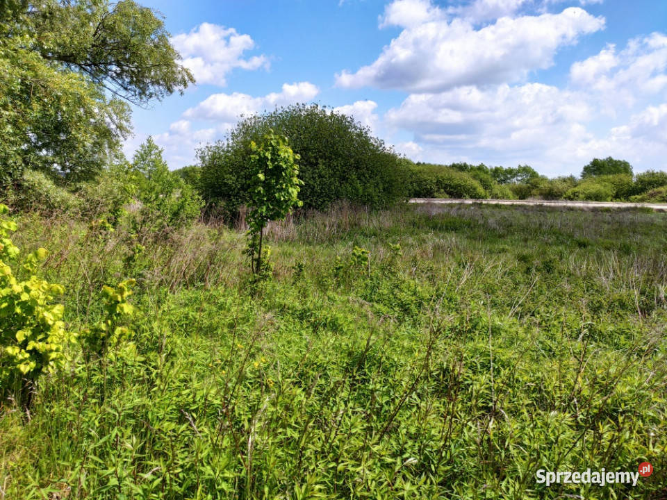 Działka budowlana z warunkami zabudowy 1330m budowlana Linów sprzedam