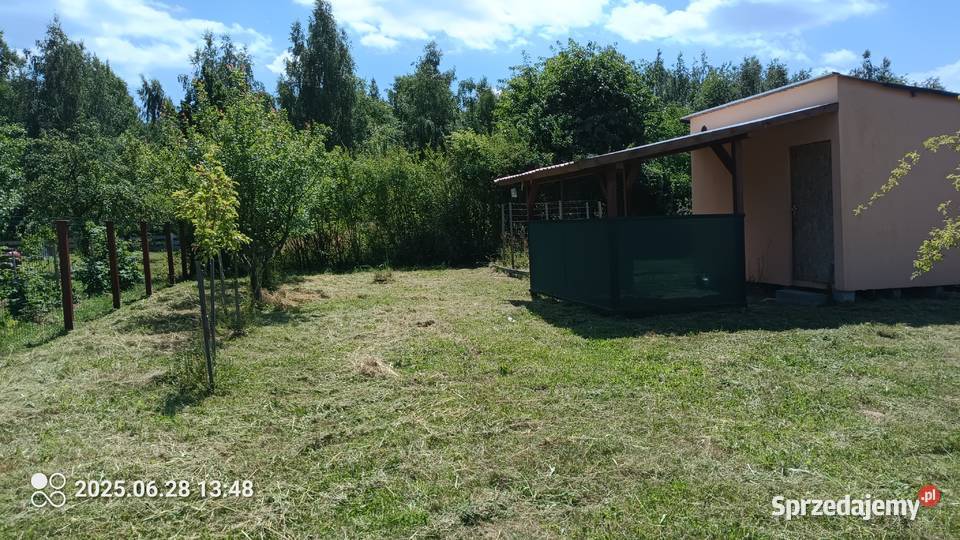 Działka rekreacyjna Rod Biedronkaprąd woda Lubin sprzedam