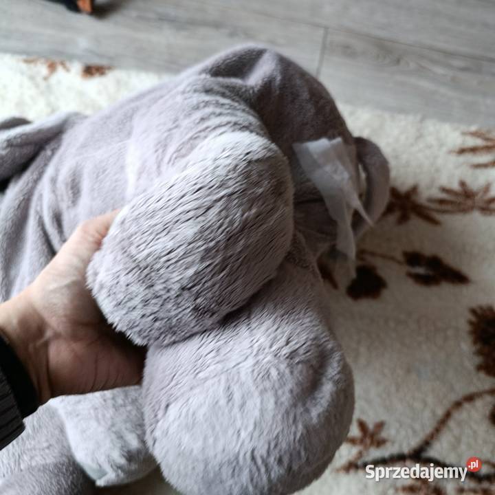 miś maskotka pluszak słoń