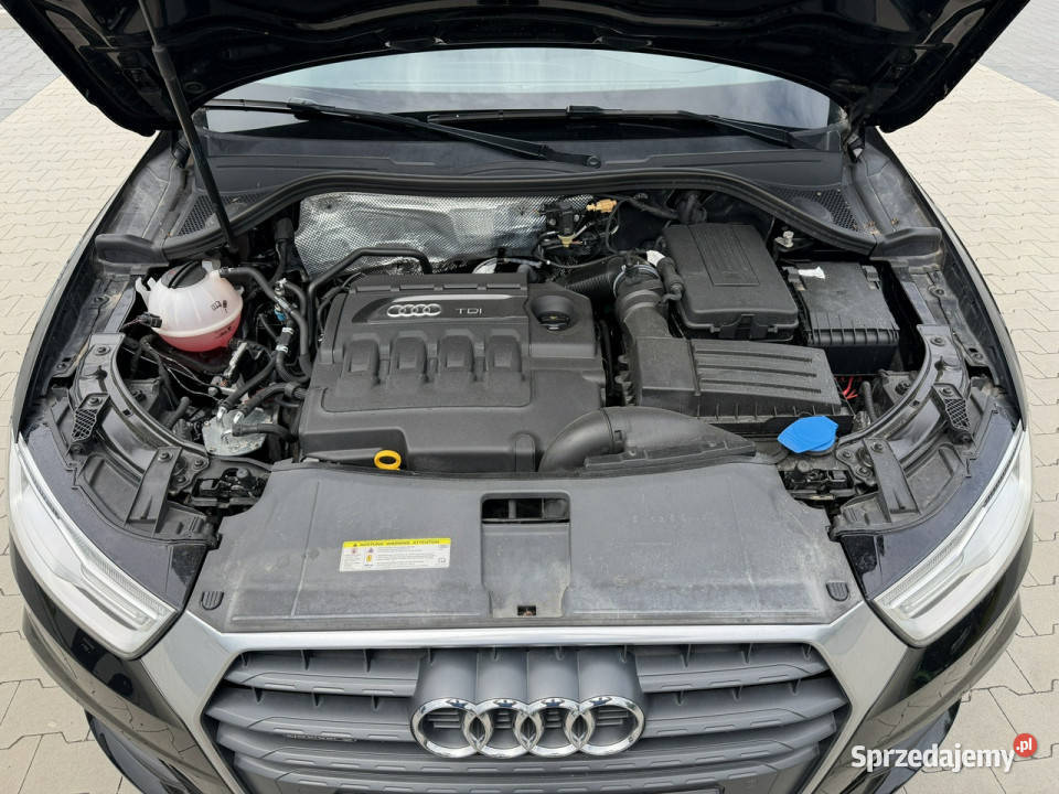 Audi Q3 20 184 LED QUATTRO Automat Nawigacja czarny warmińsko-mazurskie Mrągowo