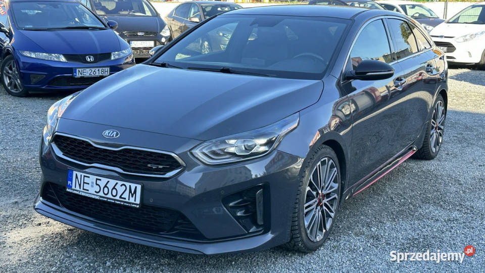 Kia Pro Ceed GT Benzyna Moc 204 Automat Bogato Elbląg