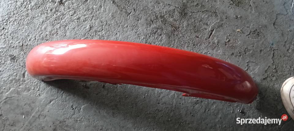 Błotnik ryś Pszczyna sprzedam