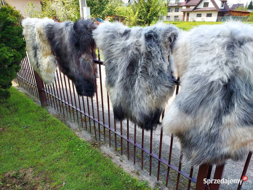 Skóra Owcza Szwedzka MELERADE Skóry Owcze Szaflary sprzedam