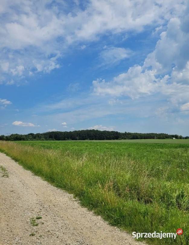 Działka Budowlana 2164 m2 MEDIA Siekierowice