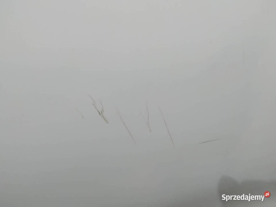 DRZWI PRAWE TYŁ DV369 Renault Clio IV 20122019 Karoseria