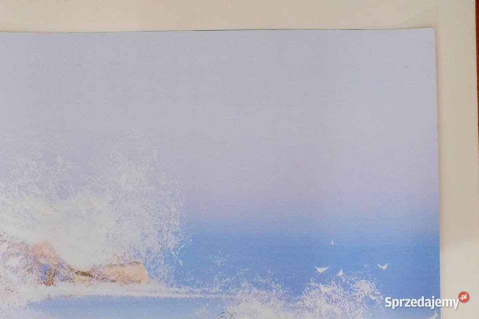 JRovevier French Seaside dolnośląskie Lubin