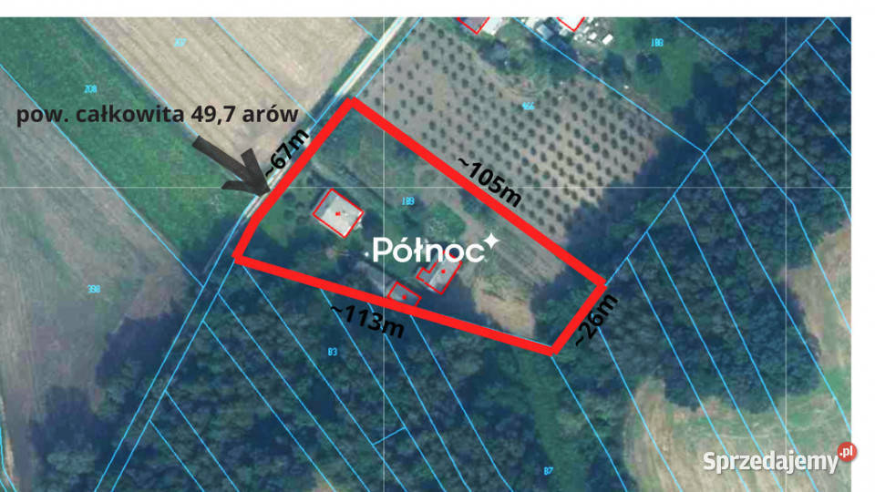 Siedlisko lesie w Skomorochach Dużych 100m2 Skomorochy Duże